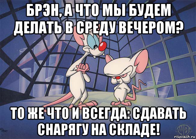 брэн, а что мы будем делать в среду вечером? то же что и всегда: сдавать снарягу на складе!, Мем ПИНКИ И БРЕЙН