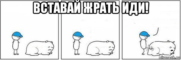 вставай жрать иди! 