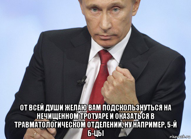  от всей души желаю вам подскользнуться на нечищенном тротуаре и оказаться в травматологическом отделении, ну например, 5-й б-цы, Мем Путин показывает кулак