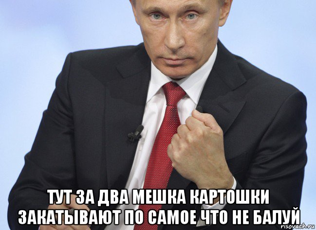  тут за два мешка картошки закатывают по самое что не балуй, Мем Путин показывает кулак