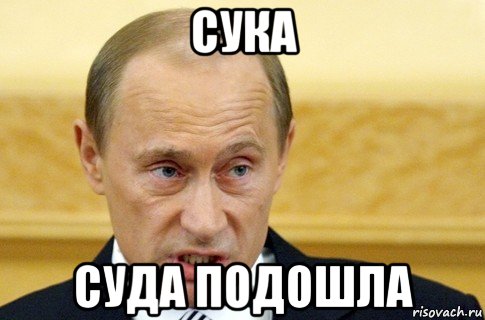 сука суда подошла, Мем путин