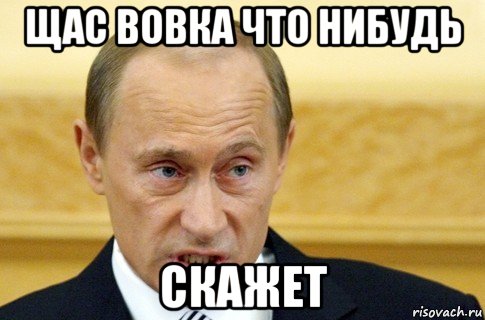 щас вовка что нибудь скажет, Мем путин