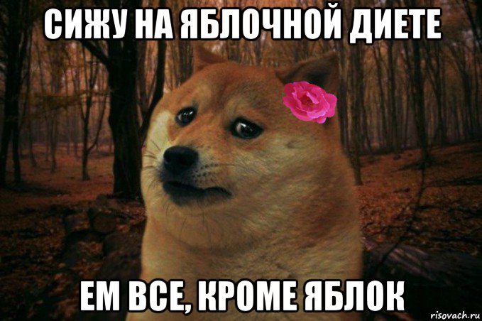 сижу на яблочной диете ем все, кроме яблок, Мем  SAD DOGE GIRL