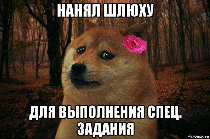 нанял шлюху для выполнения спец. задания, Мем  SAD DOGE GIRL