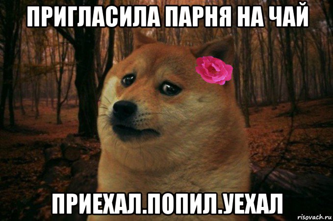 пригласила парня на чай приехал.попил.уехал, Мем  SAD DOGE GIRL