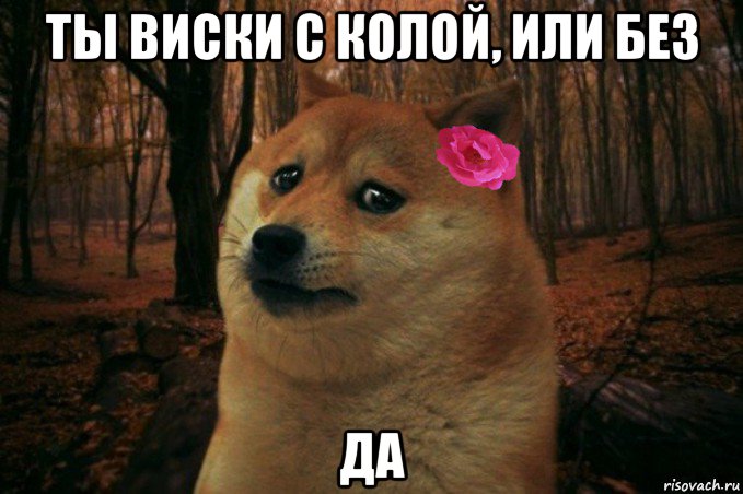 ты виски с колой, или без да, Мем  SAD DOGE GIRL