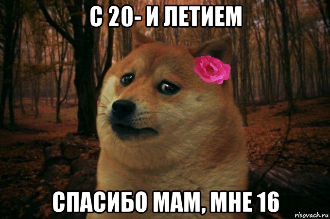 с 20- и летием спасибо мам, мне 16, Мем  SAD DOGE GIRL