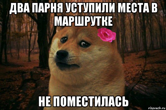 два парня уступили места в маршрутке не поместилась, Мем  SAD DOGE GIRL