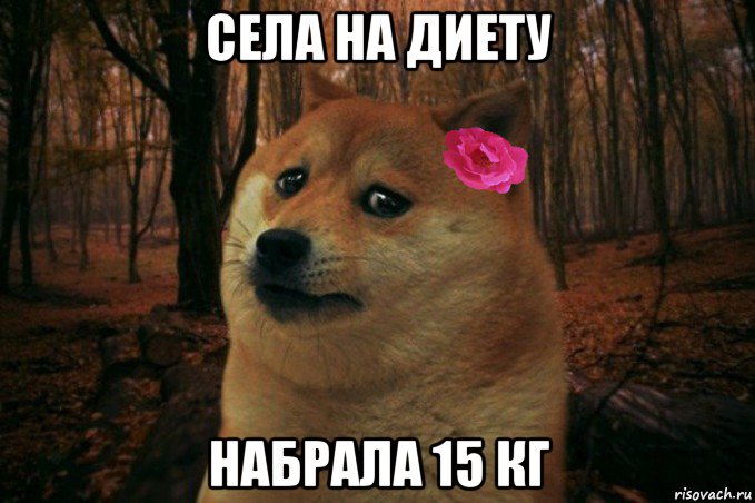 села на диету набрала 15 кг, Мем  SAD DOGE GIRL