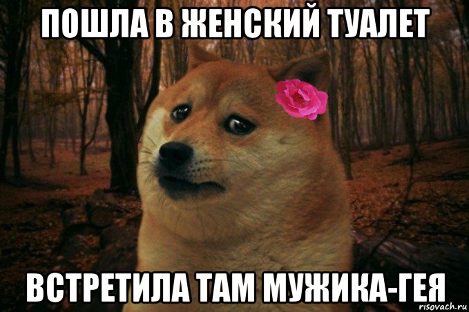 пошла в женский туалет встретила там мужика-гея, Мем  SAD DOGE GIRL