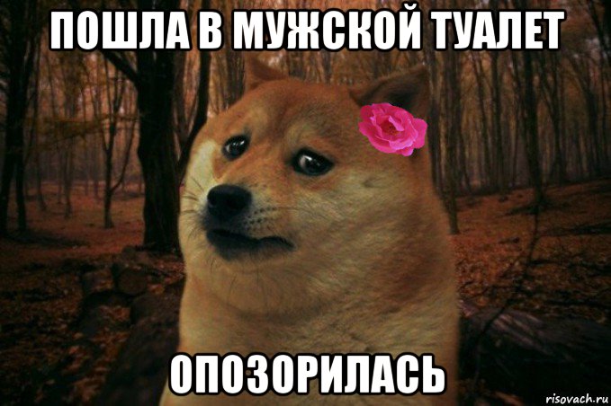 пошла в мужской туалет опозорилась, Мем  SAD DOGE GIRL