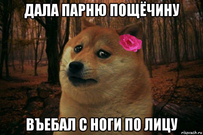 дала парню пощёчину въебал с ноги по лицу, Мем  SAD DOGE GIRL