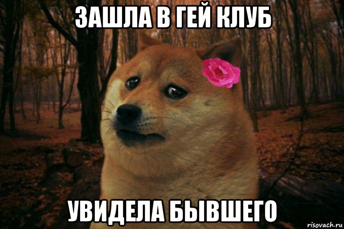 зашла в гей клуб увидела бывшего, Мем  SAD DOGE GIRL