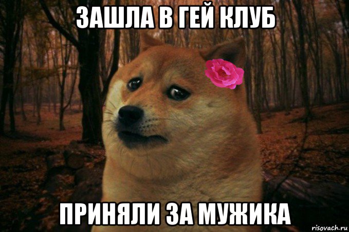 зашла в гей клуб приняли за мужика, Мем  SAD DOGE GIRL