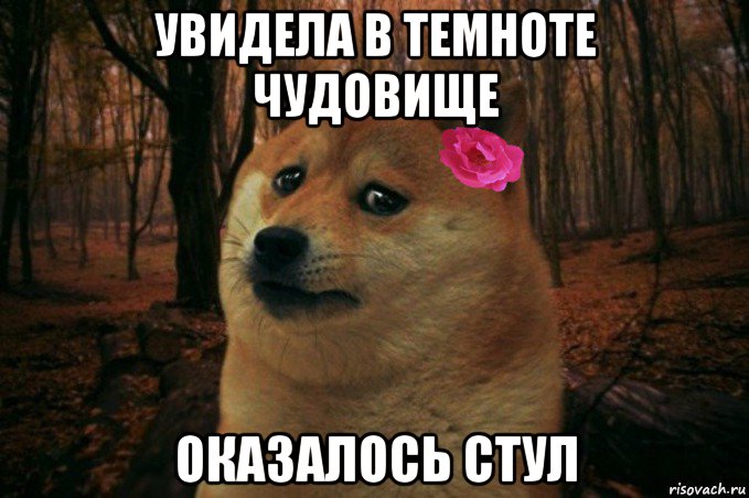 увидела в темноте чудовище оказалось стул, Мем  SAD DOGE GIRL