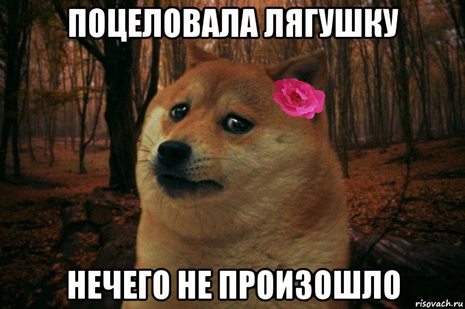 поцеловала лягушку нечего не произошло, Мем  SAD DOGE GIRL