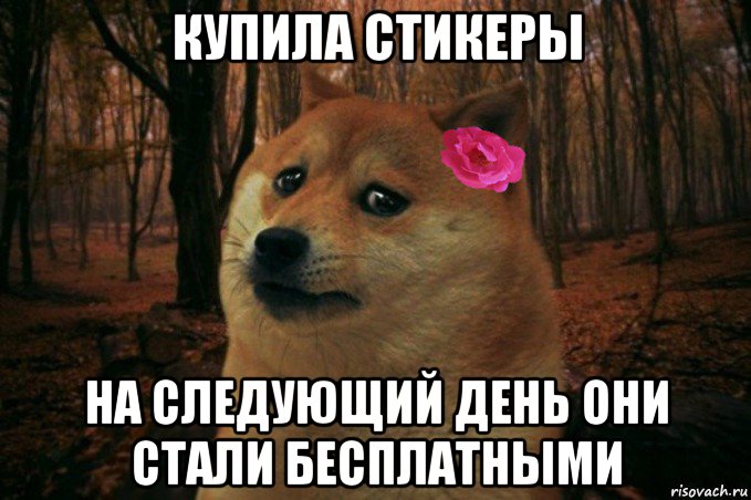 купила стикеры на следующий день они стали бесплатными, Мем  SAD DOGE GIRL