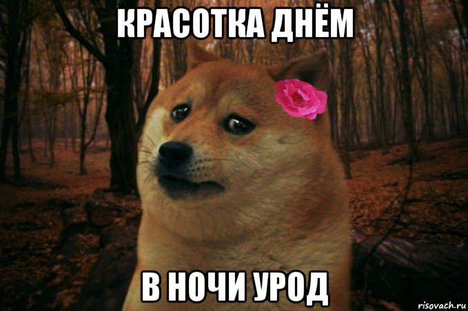 красотка днём в ночи урод, Мем  SAD DOGE GIRL