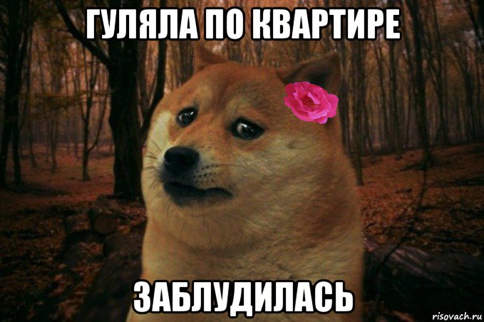 гуляла по квартире заблудилась, Мем  SAD DOGE GIRL