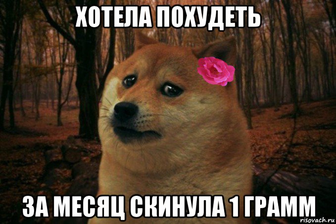 хотела похудеть за месяц скинула 1 грамм, Мем  SAD DOGE GIRL