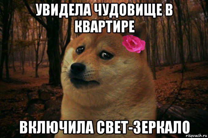 увидела чудовище в квартире включила свет-зеркало, Мем  SAD DOGE GIRL