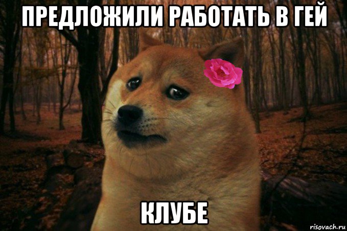 предложили работать в гей клубе, Мем  SAD DOGE GIRL