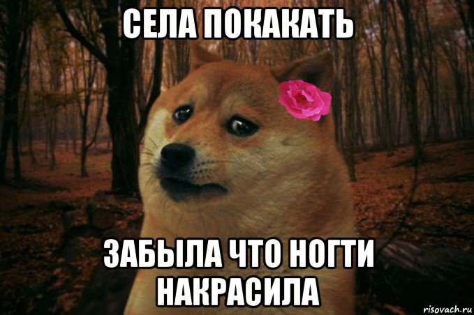 села покакать забыла что ногти накрасила, Мем  SAD DOGE GIRL