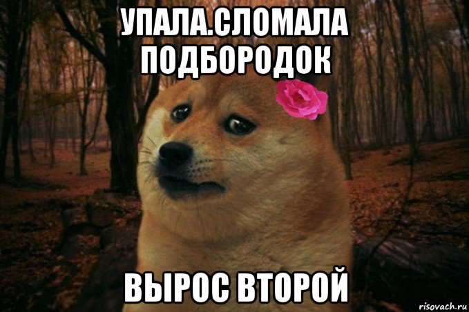 упала.сломала подбородок вырос второй, Мем  SAD DOGE GIRL