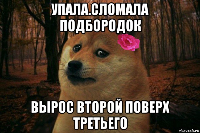 упала.сломала подбородок вырос второй поверх третьего, Мем  SAD DOGE GIRL