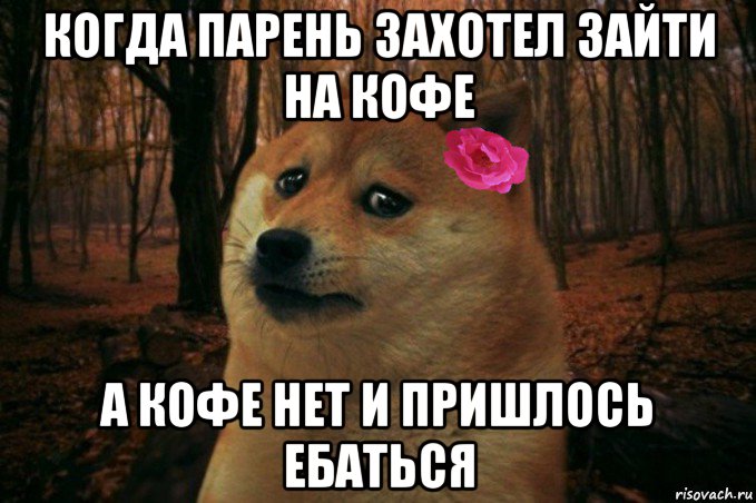 когда парень захотел зайти на кофе а кофе нет и пришлось ебаться, Мем  SAD DOGE GIRL