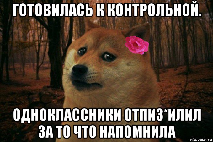 готовилась к контрольной. одноклассники отпиз*илил за то что напомнила, Мем  SAD DOGE GIRL