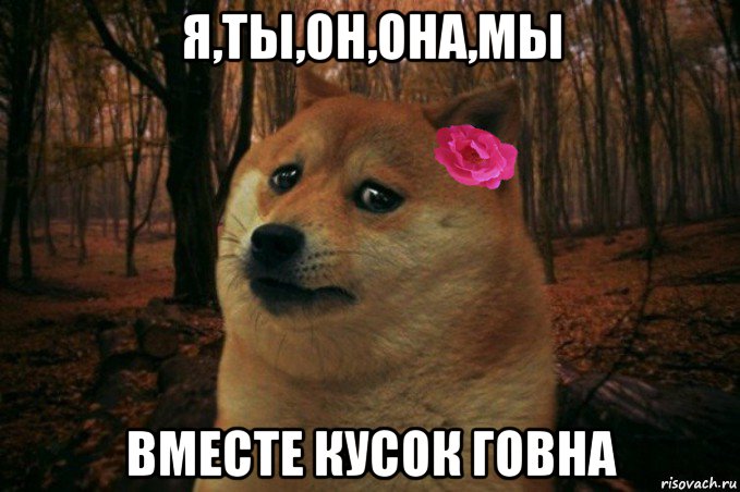 я,ты,он,она,мы вместе кусок говна, Мем  SAD DOGE GIRL