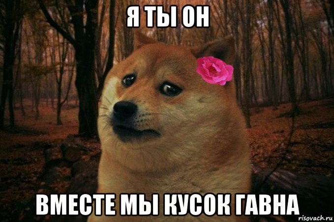 я ты он вместе мы кусок гавна, Мем  SAD DOGE GIRL