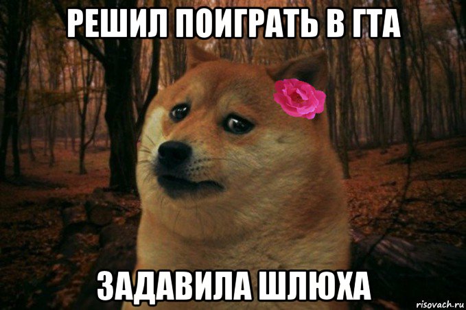 решил поиграть в гта задавила шлюха, Мем  SAD DOGE GIRL