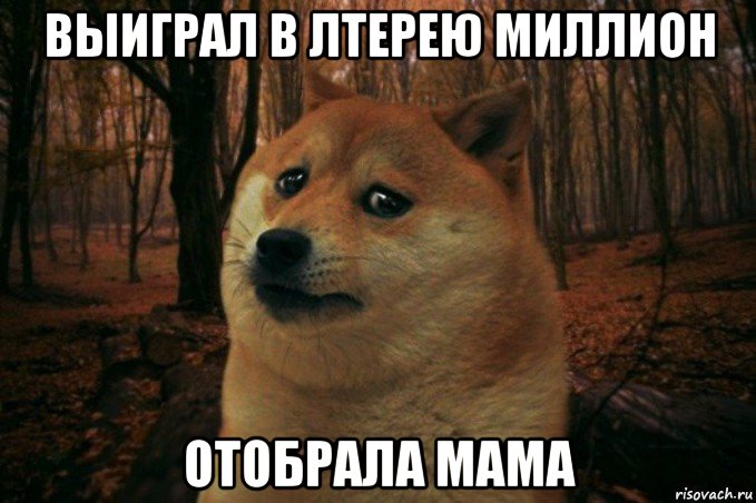 выиграл в лтерею миллион отобрала мама, Мем SAD DOGE