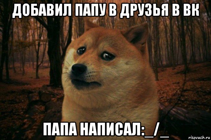 добавил папу в друзья в вк папа написал:_/_, Мем SAD DOGE