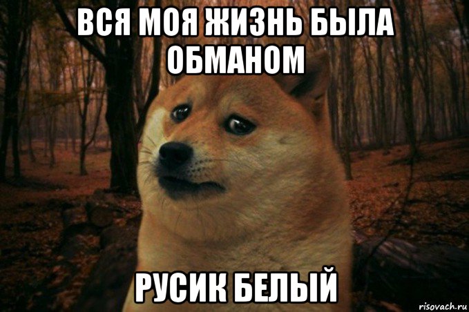 вся моя жизнь была обманом русик белый, Мем SAD DOGE