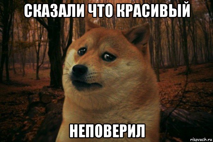 сказали что красивый неповерил, Мем SAD DOGE