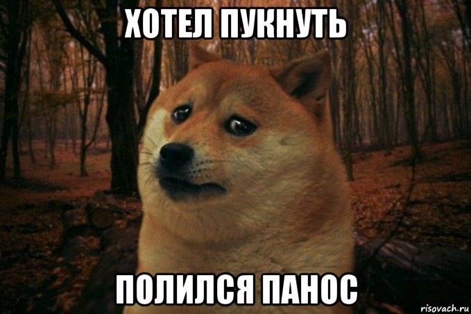 хотел пукнуть полился панос, Мем SAD DOGE