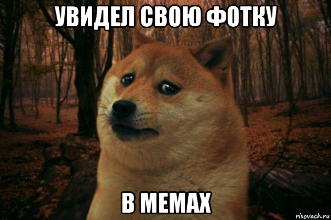 увидел свою фотку в мемах, Мем SAD DOGE