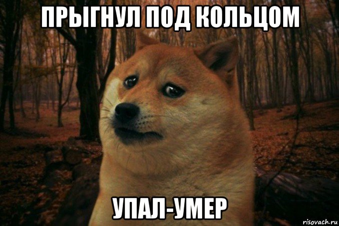 прыгнул под кольцом упал-умер, Мем SAD DOGE