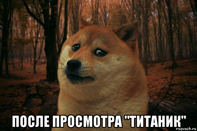  после просмотра "титаник", Мем SAD DOGE