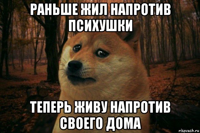 раньше жил напротив психушки теперь живу напротив своего дома