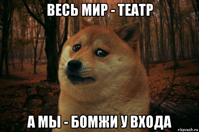 весь мир - театр а мы - бомжи у входа, Мем SAD DOGE