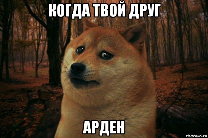 когда твой друг арден, Мем SAD DOGE