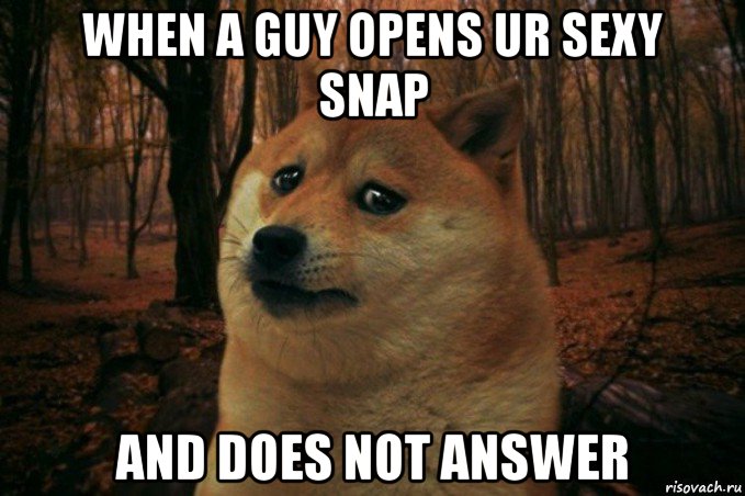 when a guy opens ur sexy snap and does not answer, Мем SAD DOGE