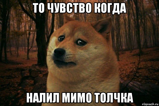 то чувство когда налил мимо толчка, Мем SAD DOGE