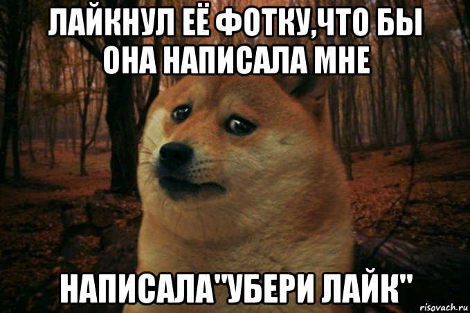 лайкнул её фотку,что бы она написала мне написала"убери лайк", Мем SAD DOGE