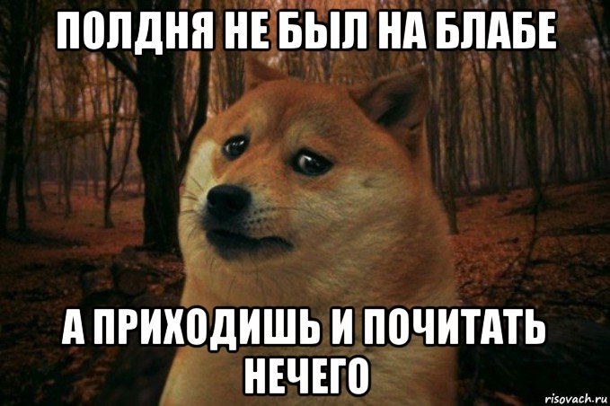 полдня не был на блабе а приходишь и почитать нечего, Мем SAD DOGE