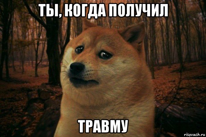 ты, когда получил травму, Мем SAD DOGE